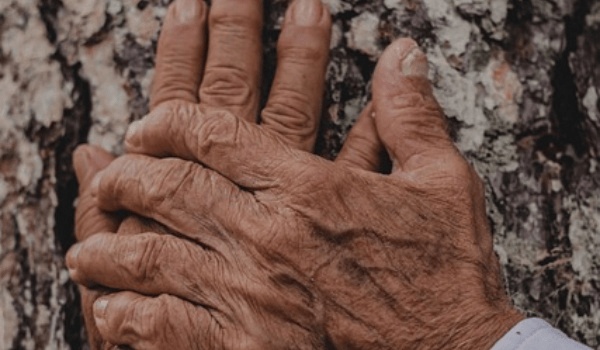 星座運勢大揭秘：2026年哪個星座最幸運？