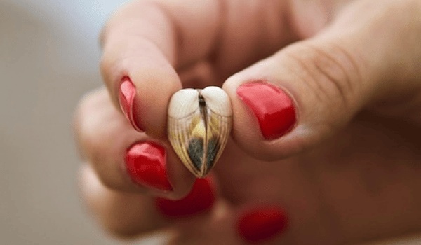 解密星象玄機：十二星座為何難以捉摸？