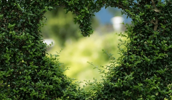 12星座揭秘：哪些星座最易公私不分，職場情緒大爆發？